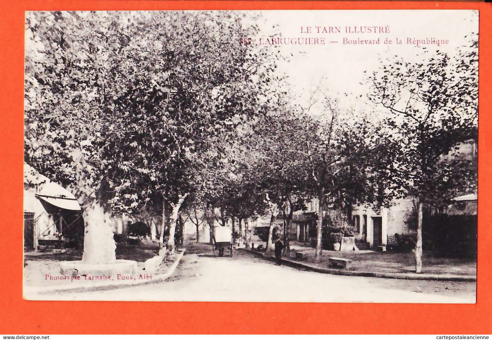 01913 / LABRUGUIERE 81-Tarn Boulevard De La REPUBLIQUE Allée Platanes 1916 -Phototypie Tarnaise Albi POUX  - Labruguière