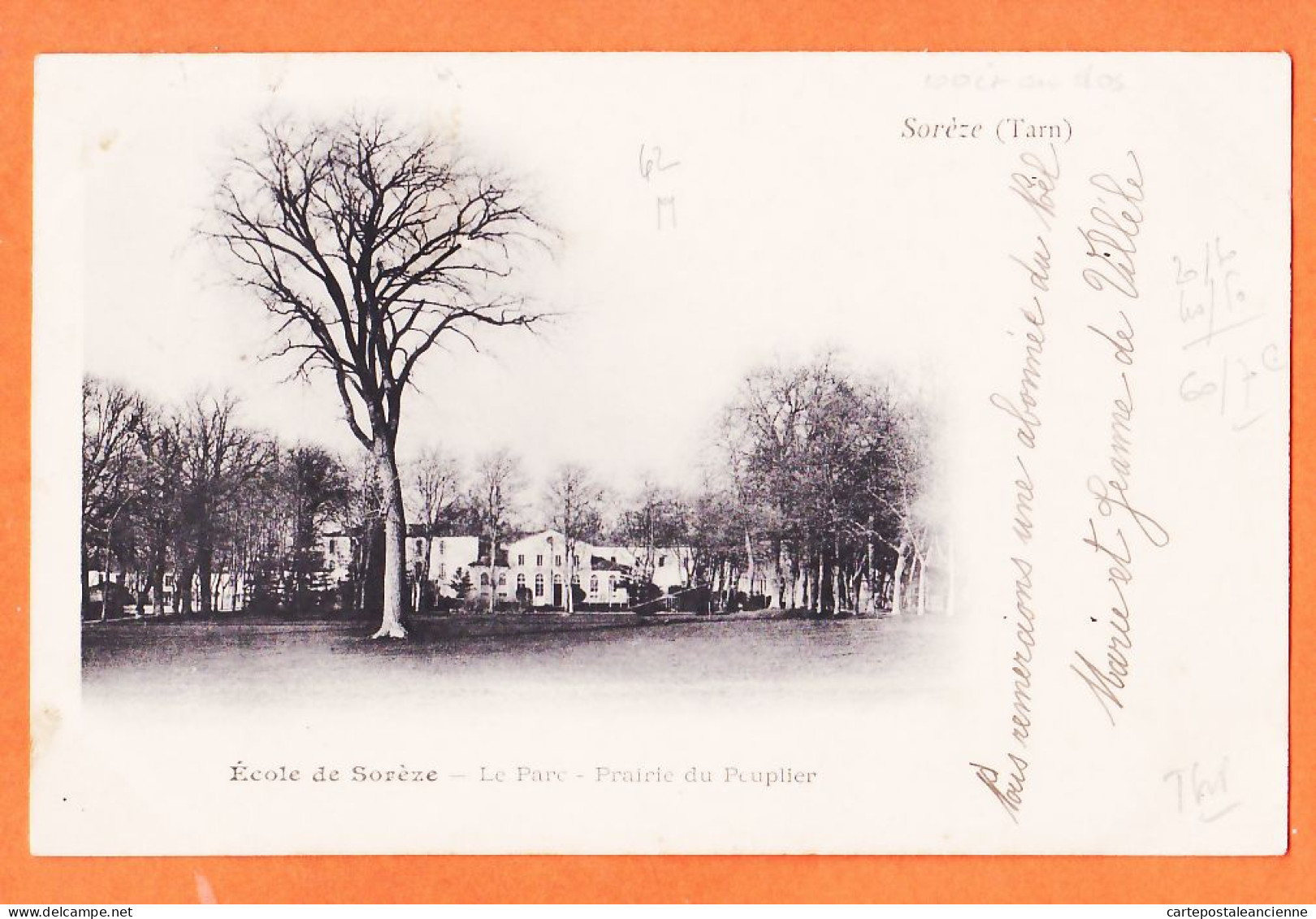 01933 / SOREZE 81-Tarn Ecole Le Parc Prairie Du PEUPLIER 1901 De VILLELE à Antoinette CIROT La Mangotiere Lusignan - Other & Unclassified