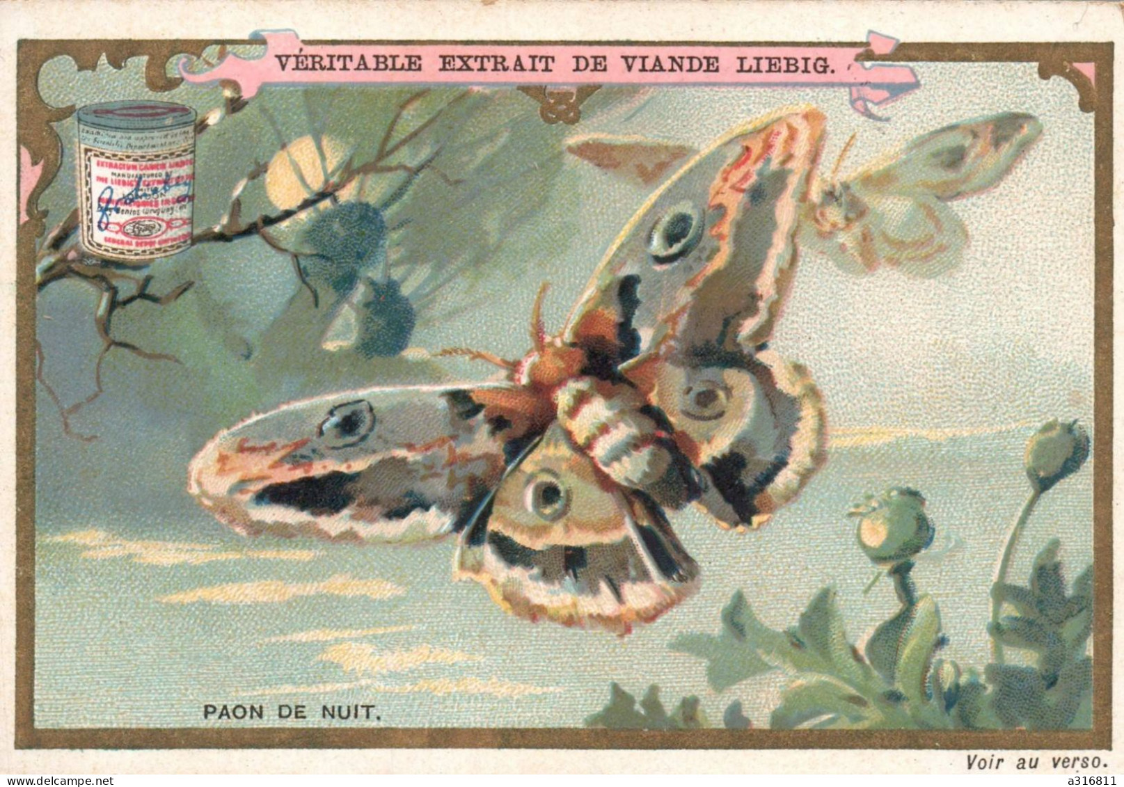 Liebig. Les Papillons, Le Paon De Nuit - Liebig