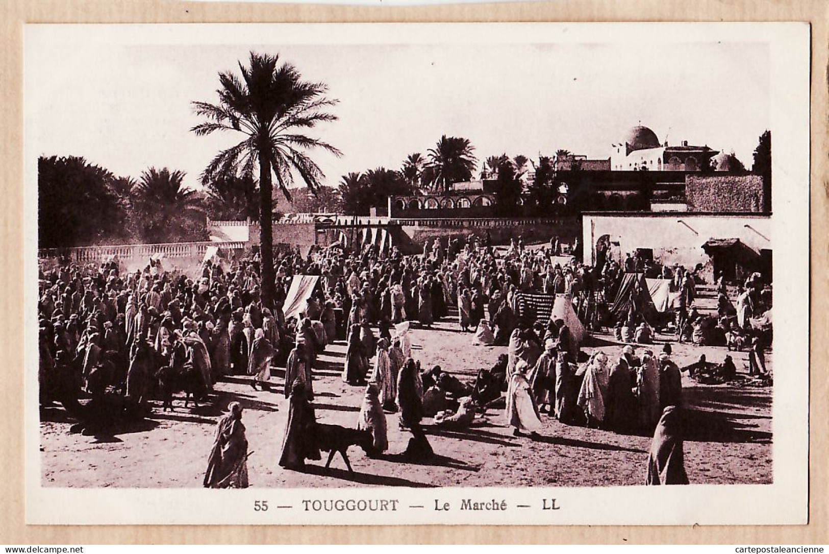 01561 / TOUGGOURT Algérie Le MARCHE 1930s - LEVY NEURDEIN N°55  ALGERIA ALGERIEN ARGELIA ALGERIJE - Autres & Non Classés