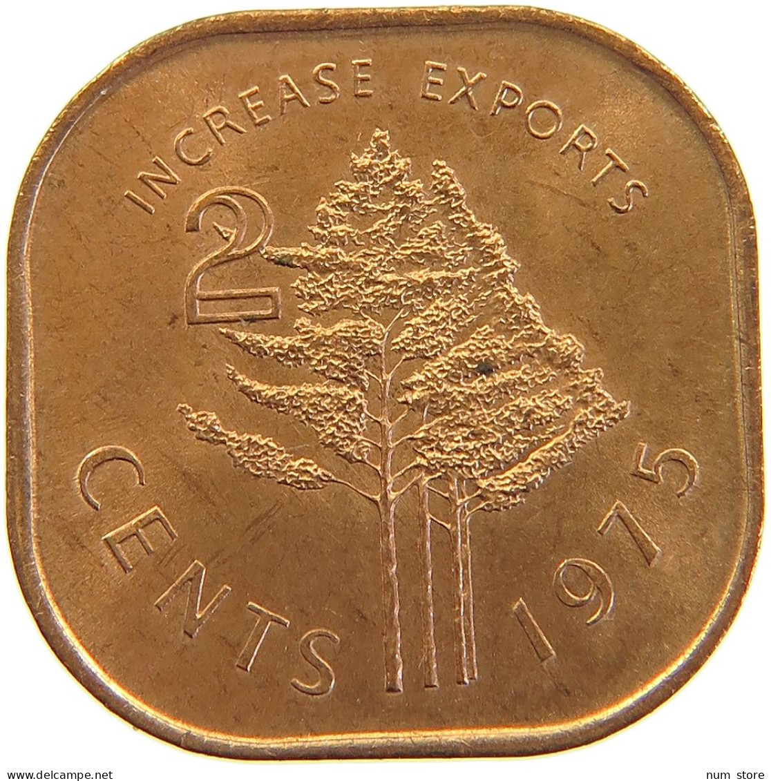 SWAZILAND 2 CENTS 1975 #s105 0371 - Swazilandia