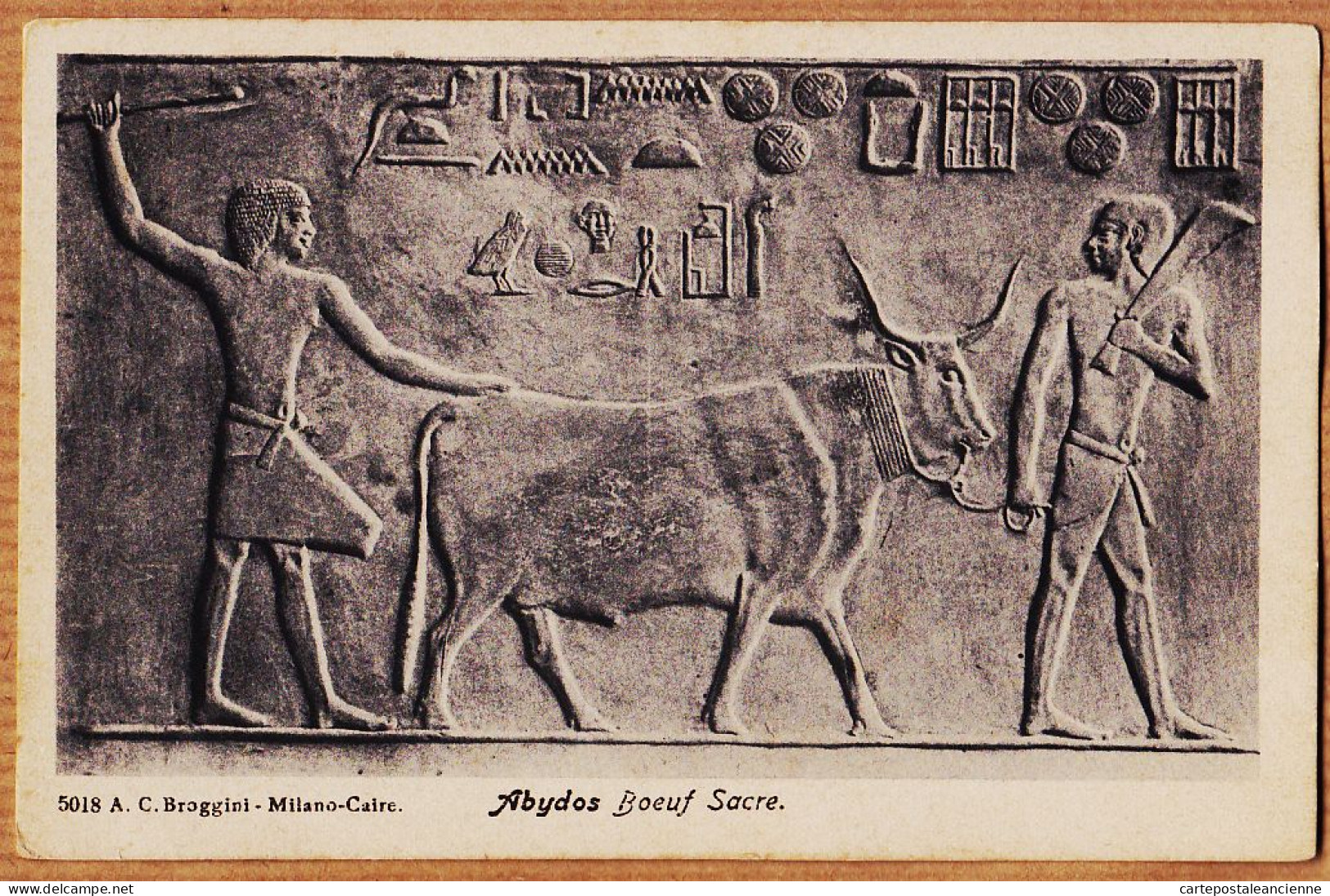 01838 / Peu Commun ABYDOS Abdjou Boeuf Sacré Nome THINITE N.W Louxor 1900s BROGGINI Milano-Caire N°5018 - Otros & Sin Clasificación