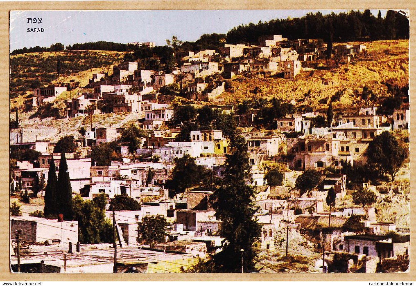 01807 / SAFAD Israël View Of The TOWN 1970s PALPHOT HERZLIA - Israel