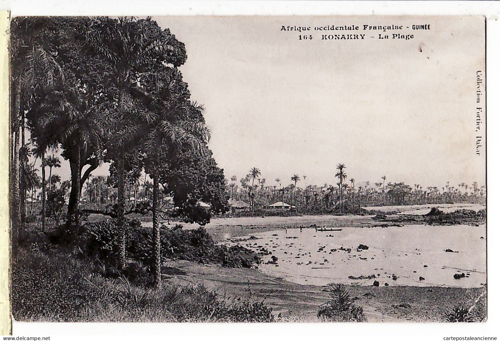 01734 / ⭐ (•◡•) CONAKRY Guinée PLAGE Afrique Occidentale Francaise Collection FORTIER 164 Dakar  Guinea - Guinea