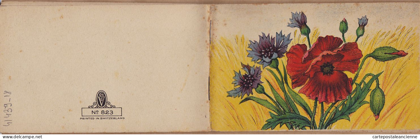 01614 / ♥️ ⭐ Rare FLEURS Carnet 6  CP Lithographie BEAUBERLIN PFEIPFER VEVEY N° 823- Modèle + Dessins à colorier 1910s 