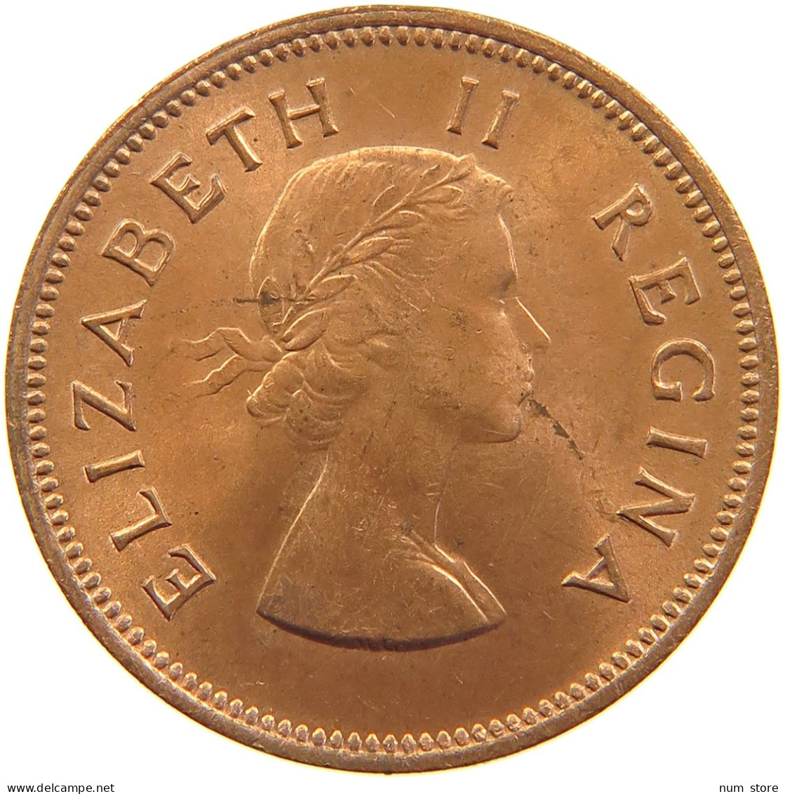 SOUTH AFRICA 1/2 PENNY 1960 #s105 0195 - South Africa