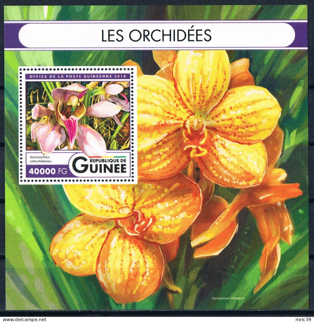 Bloc Sheet  Fleurs Orchidées Flowers Orchids  Neuf  MNH **  Guinée Guinea 2016 - Orchideeën