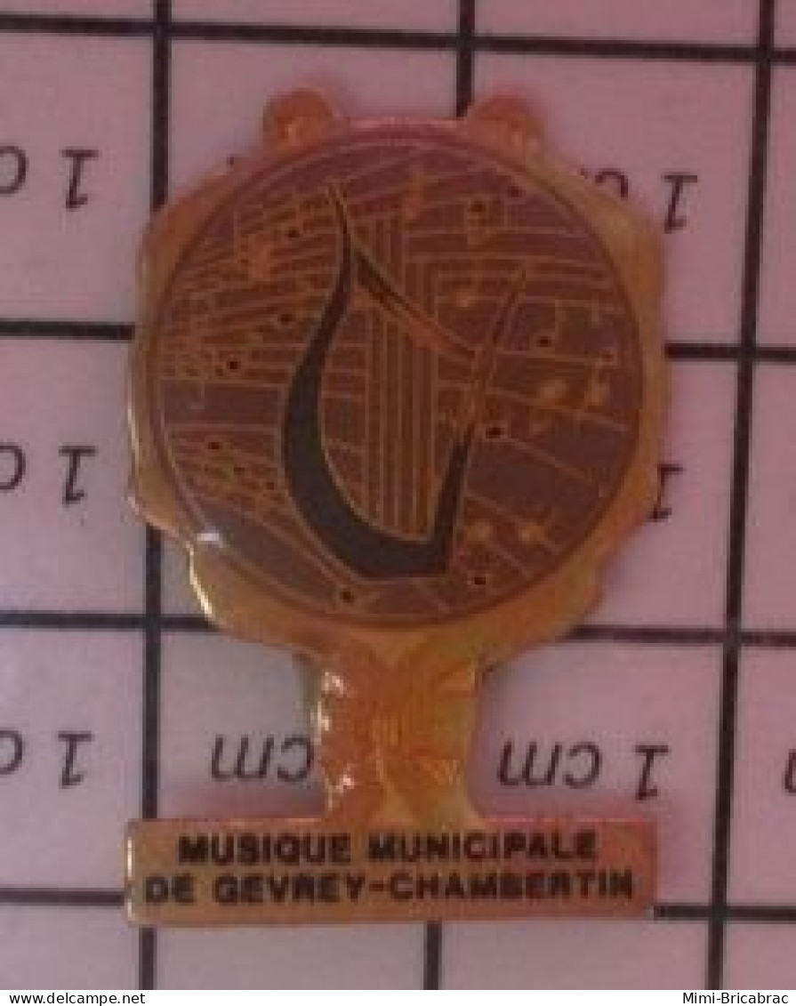 1618B Pin's Pins / Beau Et Rare / MUSIQUE / MUSIQUE MUNICIPALE DE GEVREY CHAMBERTIN TONNEAU NOTES PORTee MUSICALE - Musique