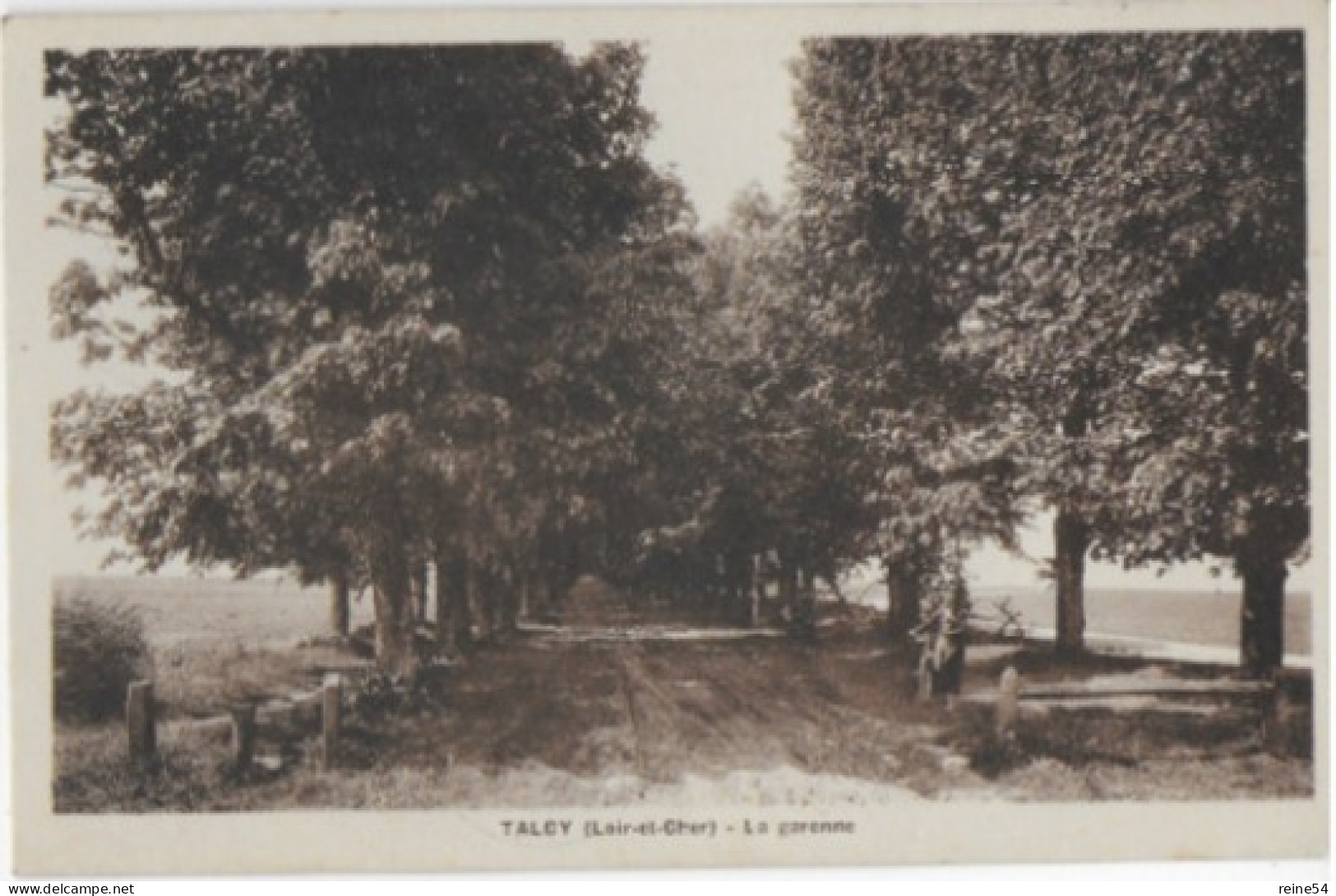 41 TALCY (Loire Et Cher) La Garenne Edit Lenormand (animée-vélo) - Autres & Non Classés