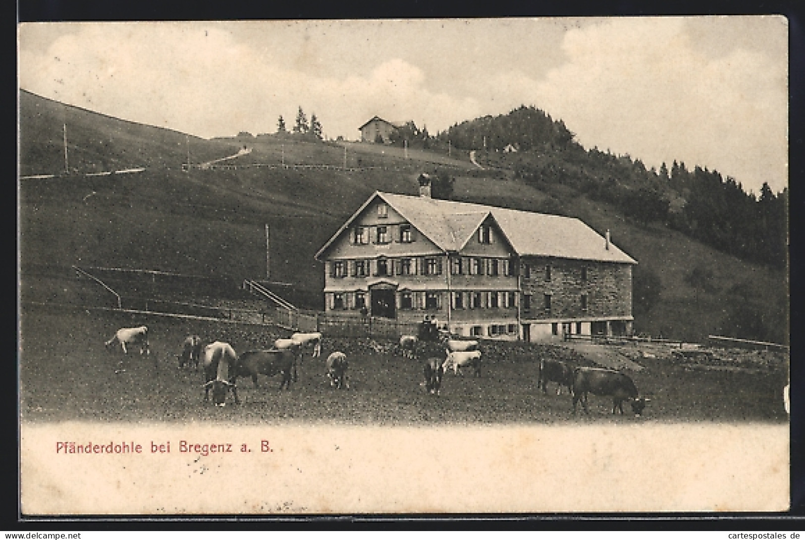 AK Bregenz A. B., Am Gasthaus Pfänderdohle  - Other & Unclassified