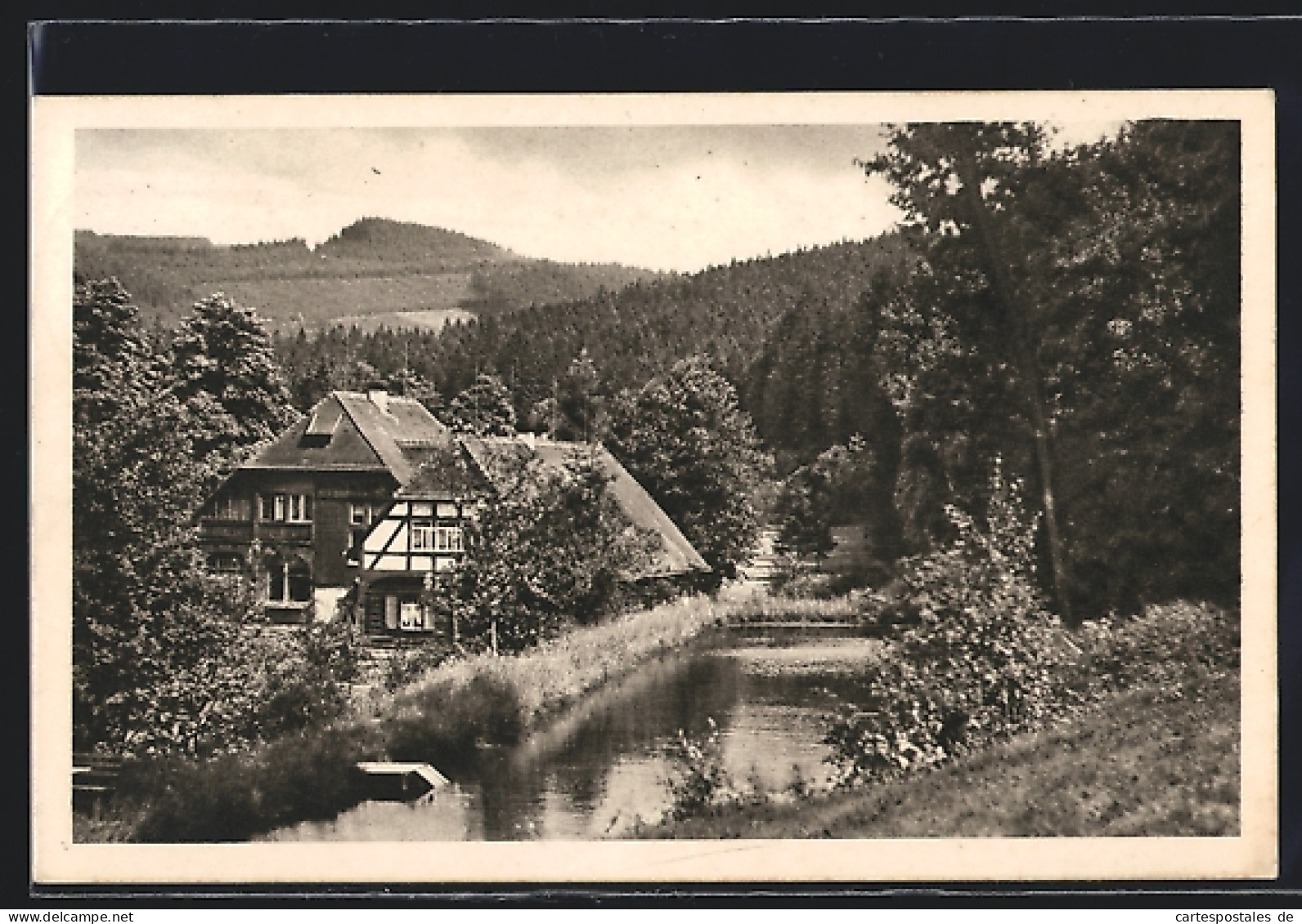 AK Bärenfels, Privat-Kinderheim Haus Waldwiese  - Autres & Non Classés