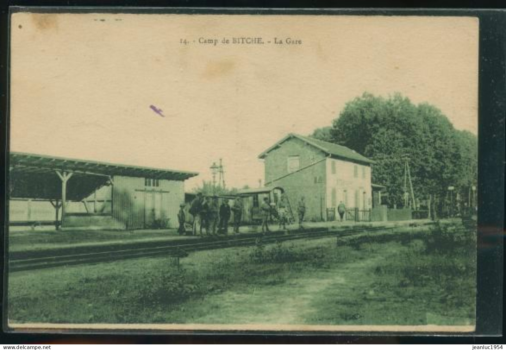 BITCHE LA GARE    ( MES PHOTOS NE SONT PAS JAUNES ) - Bitche