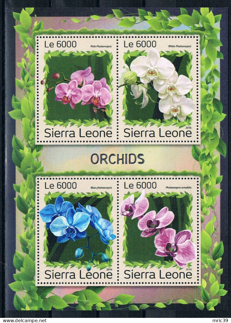 Bloc Sheet  Fleurs Orchidées Flowers Orchids  Neuf  MNH **  Sierra Leone 2016 - Orchidées