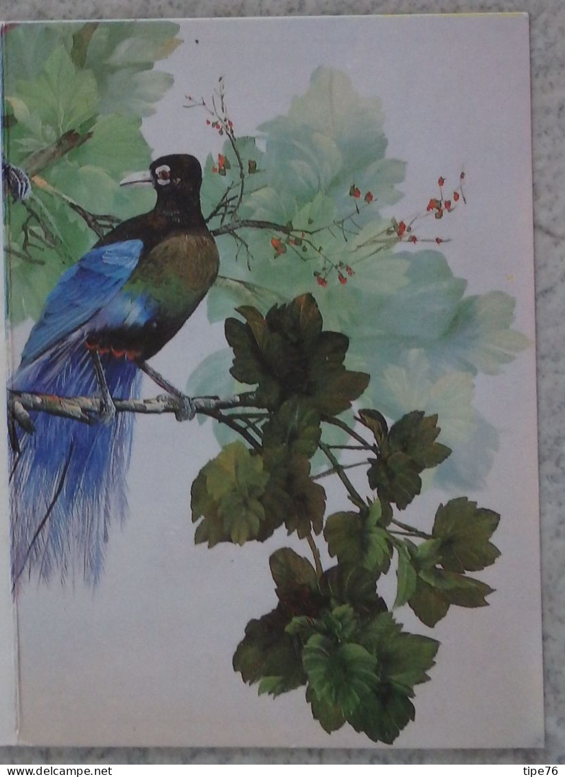 Petit Calendrier De Poche 1993 Illustration Oiseau Bleu Paradisier  Balleroy Calvados - Klein Formaat: 1991-00