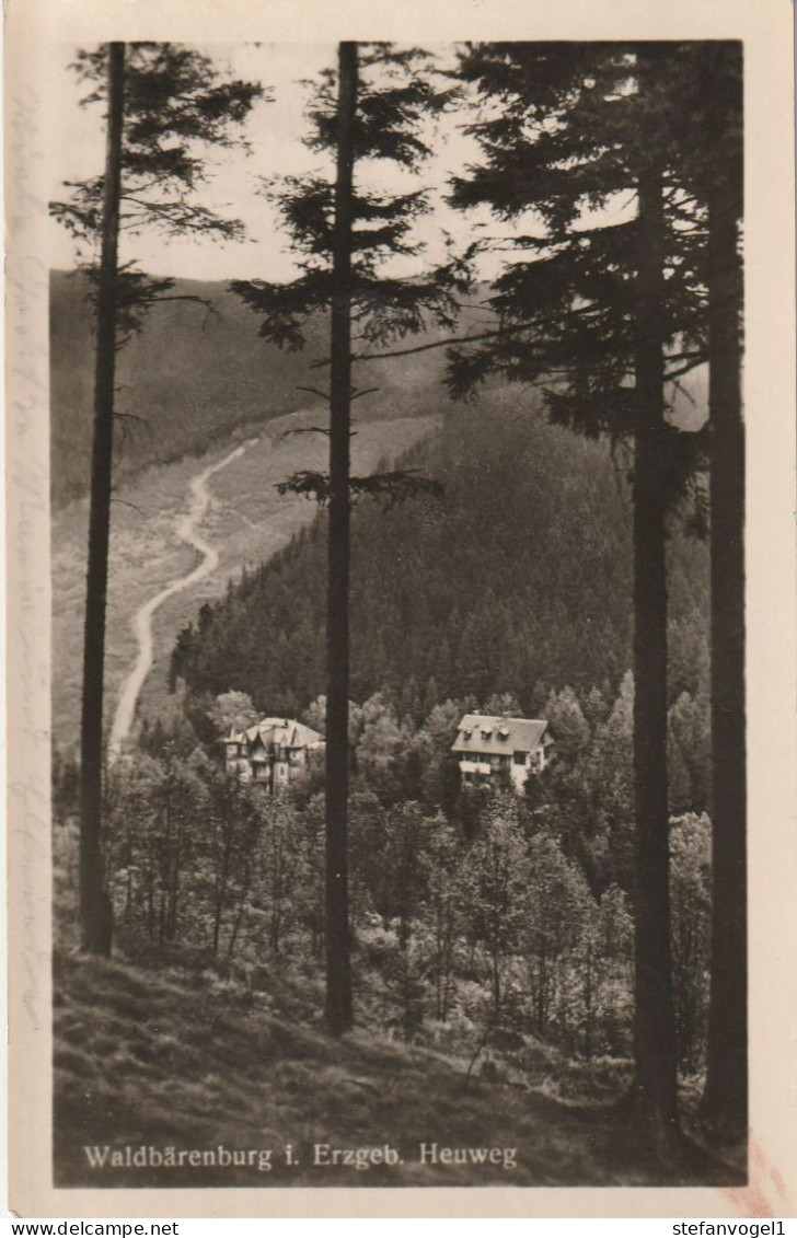 Waldbärenburg  1955   Heuweg - Andere & Zonder Classificatie