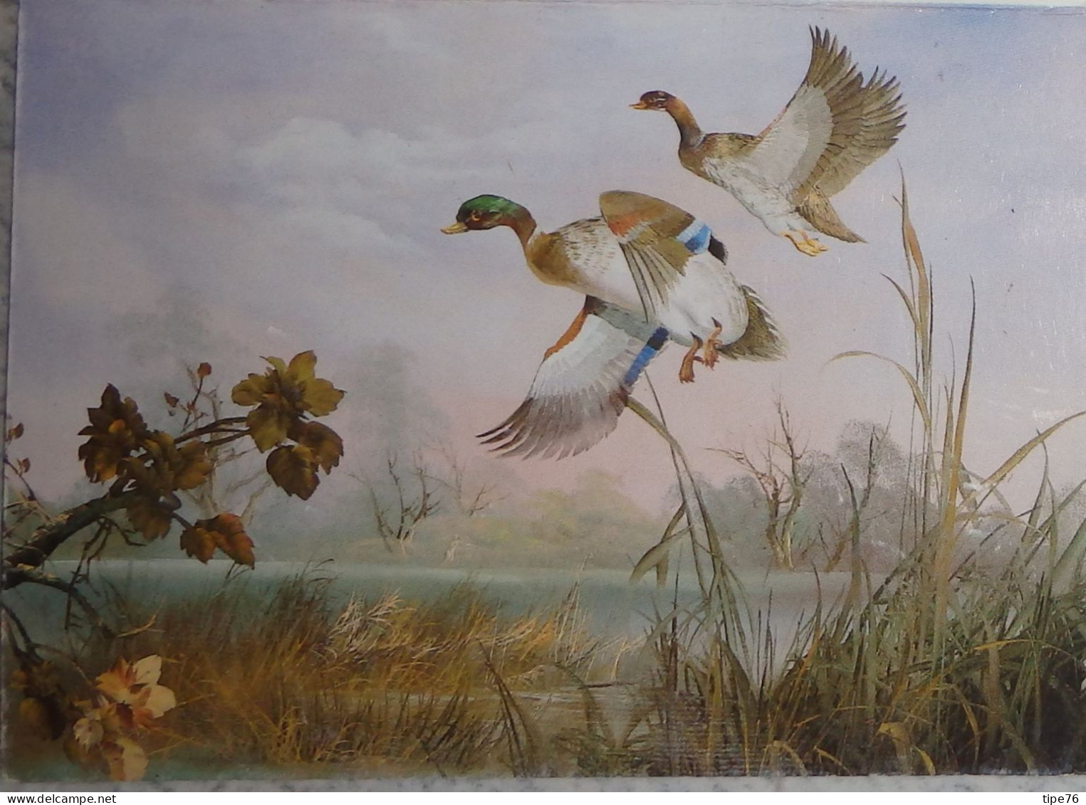 Petit Calendrier De Poche 1993 Illustration Oiseau Canard  Balleroy Calvados - Small : 1991-00