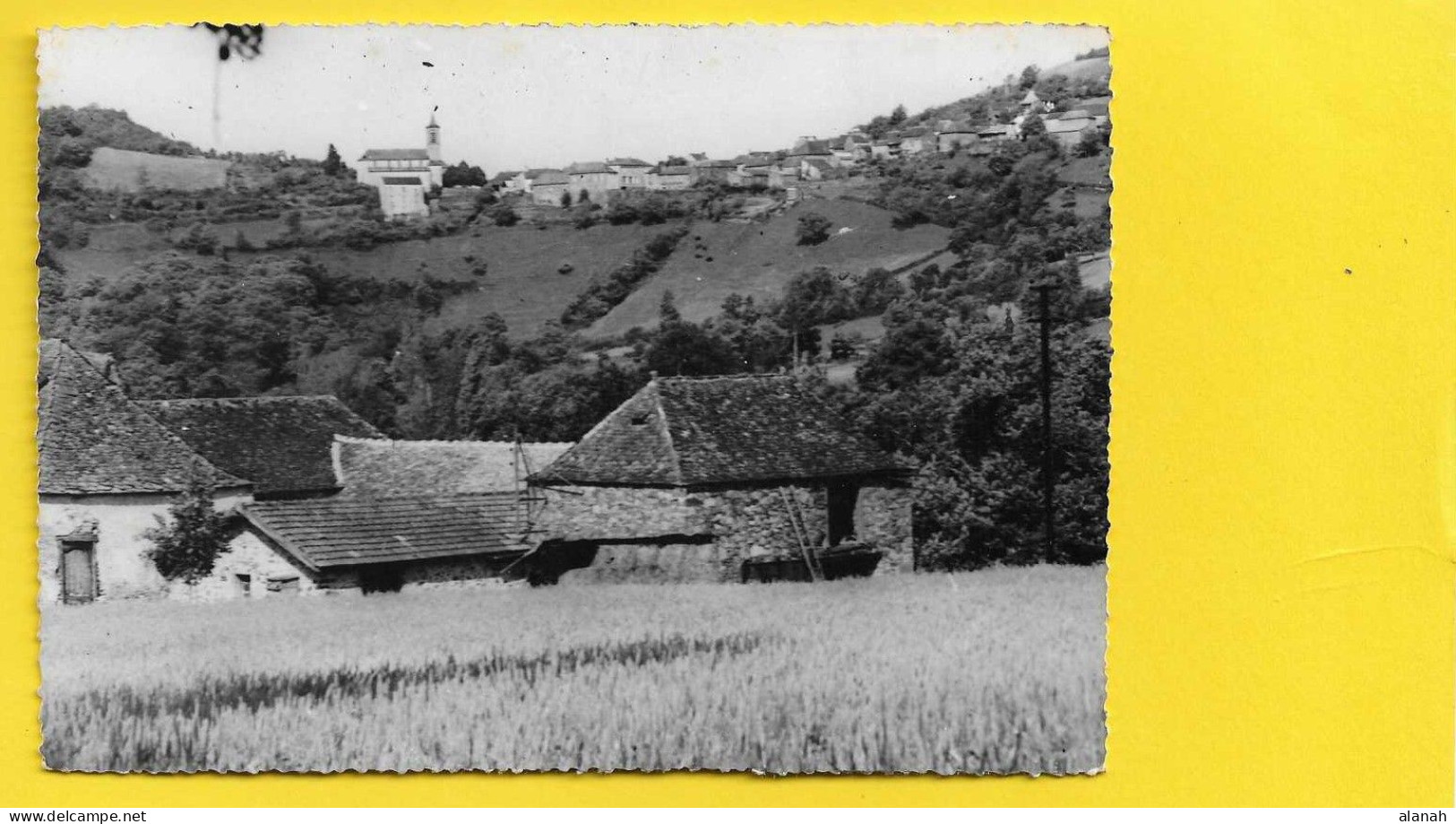 BAR Vue De Rouayrès (MYS)  Aveyron (12) - Andere & Zonder Classificatie