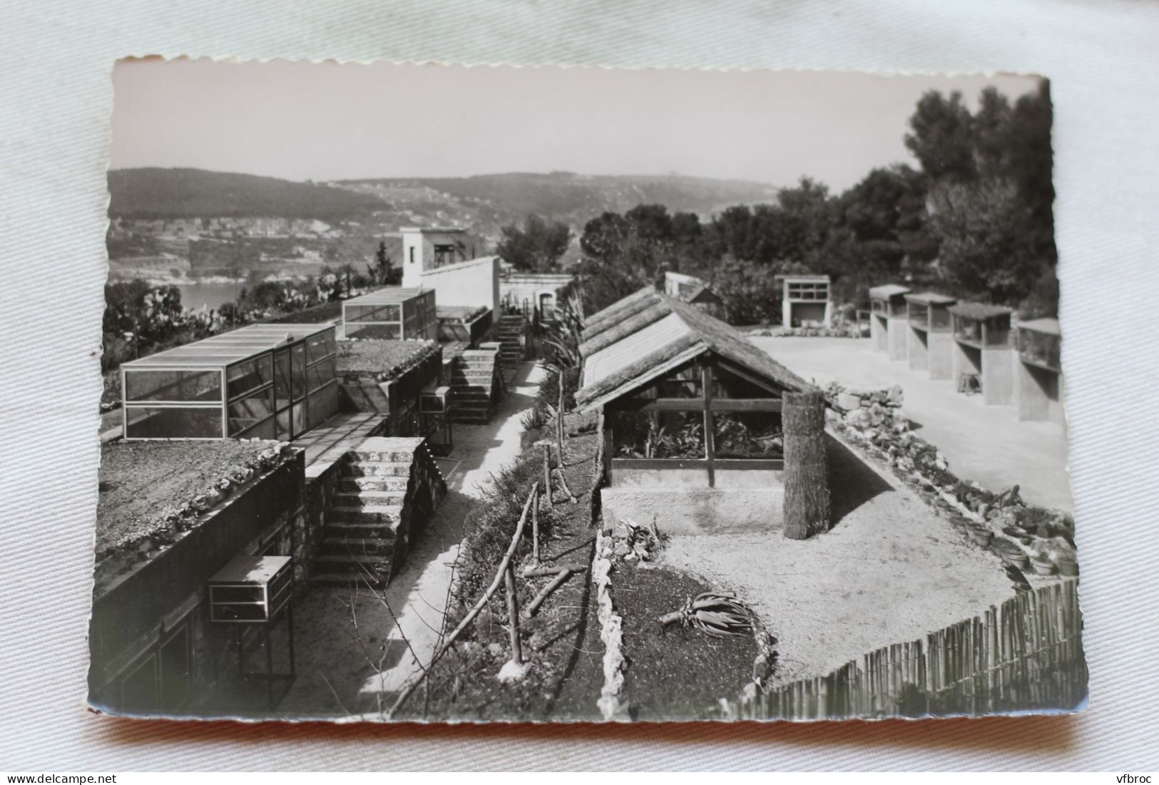 Cpm, Saint Jean Cap Ferrat, Vivarium Et Butterfly Farm, Vue D'ensemble, Alpes Maritimes 06 - Saint-Jean-Cap-Ferrat