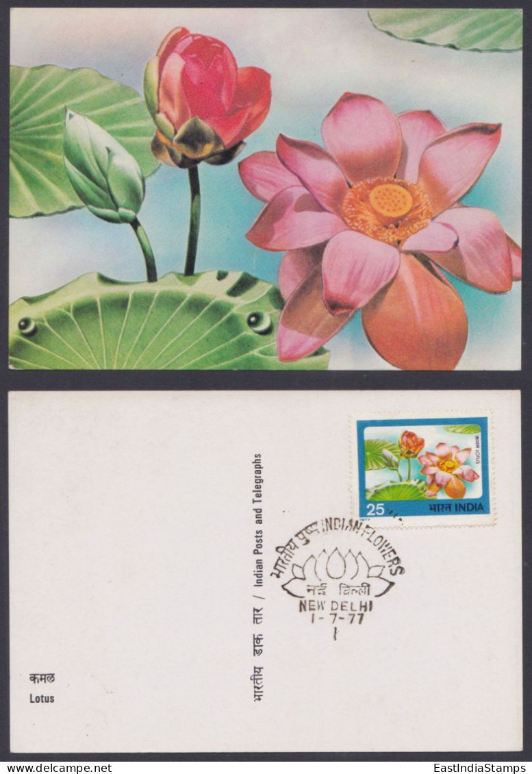 Inde India 1977 Maximum Max Card Lotus, Flower, Flowers - Covers & Documents