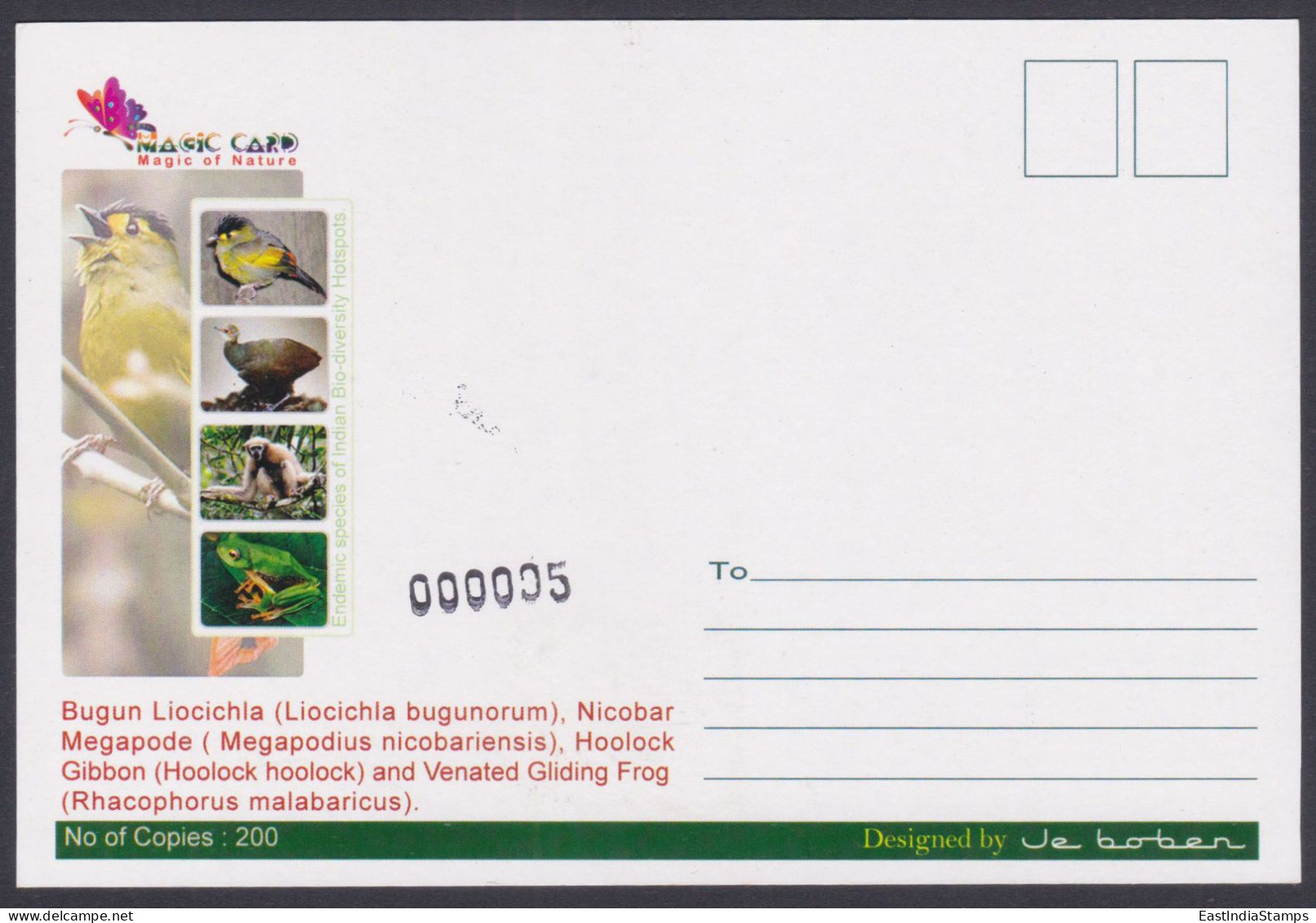 Inde India 2012 Maximum Max Card Venated Gliding Frog, Frogs, Indian Biodiversity, Flower, Flowers - Storia Postale