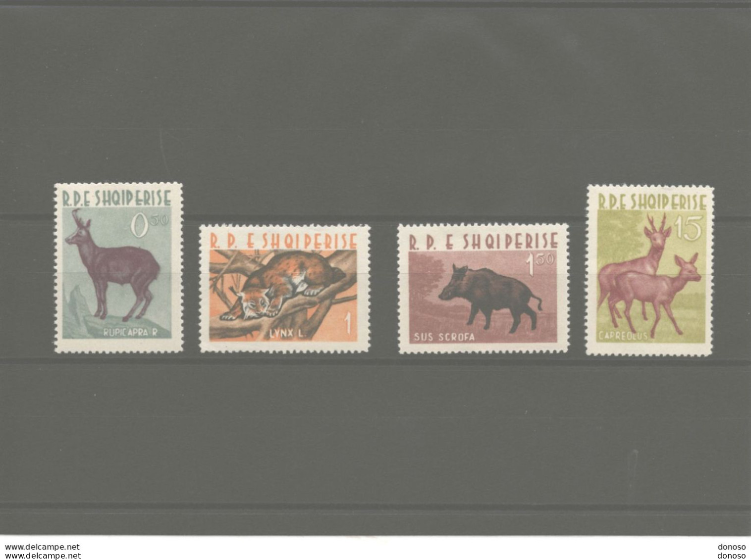 ALBANIE 1962 Animaux, Chamois, Lynx, Sanglier, Chevreuil Yvert 597-600, Michel 699-702 NEUF** MNH Cote Yv 35 Euros - Albania