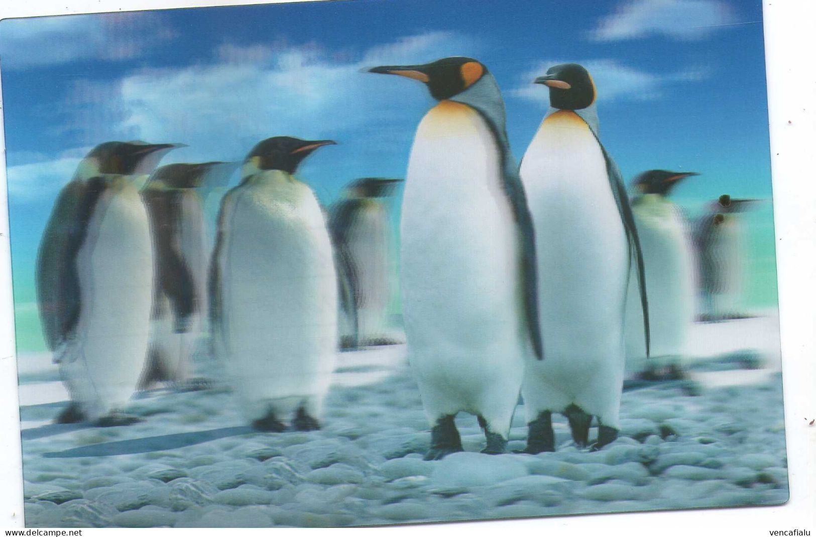 Czech Republic 2024 - Special Postcard, Personalised Stamps, Postage Used - Penguins