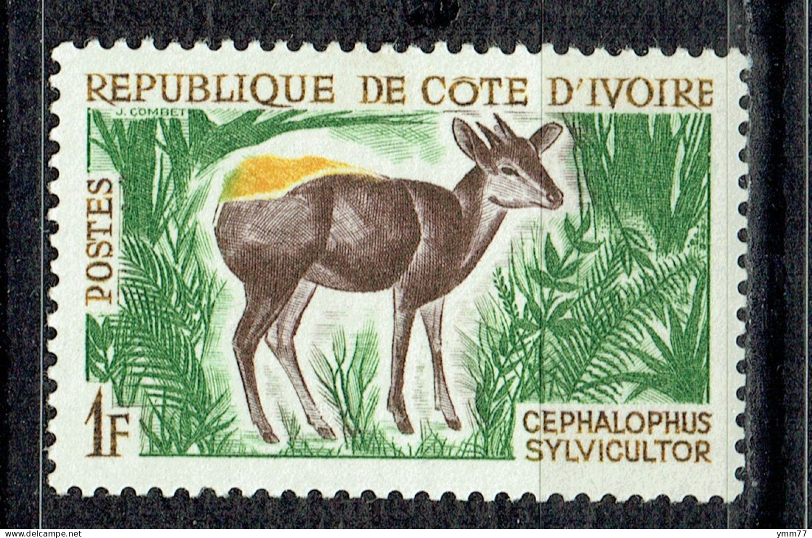 Chasse Et Tourisme : Céphalophe - Côte D'Ivoire (1960-...)