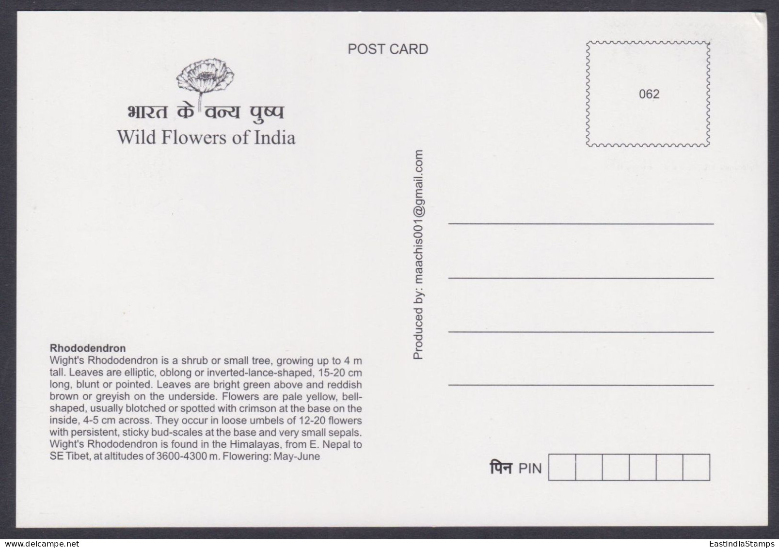 Inde India 2013 Maximum Max Card Rhododendron, Flower, Flowers, Flora - Briefe U. Dokumente