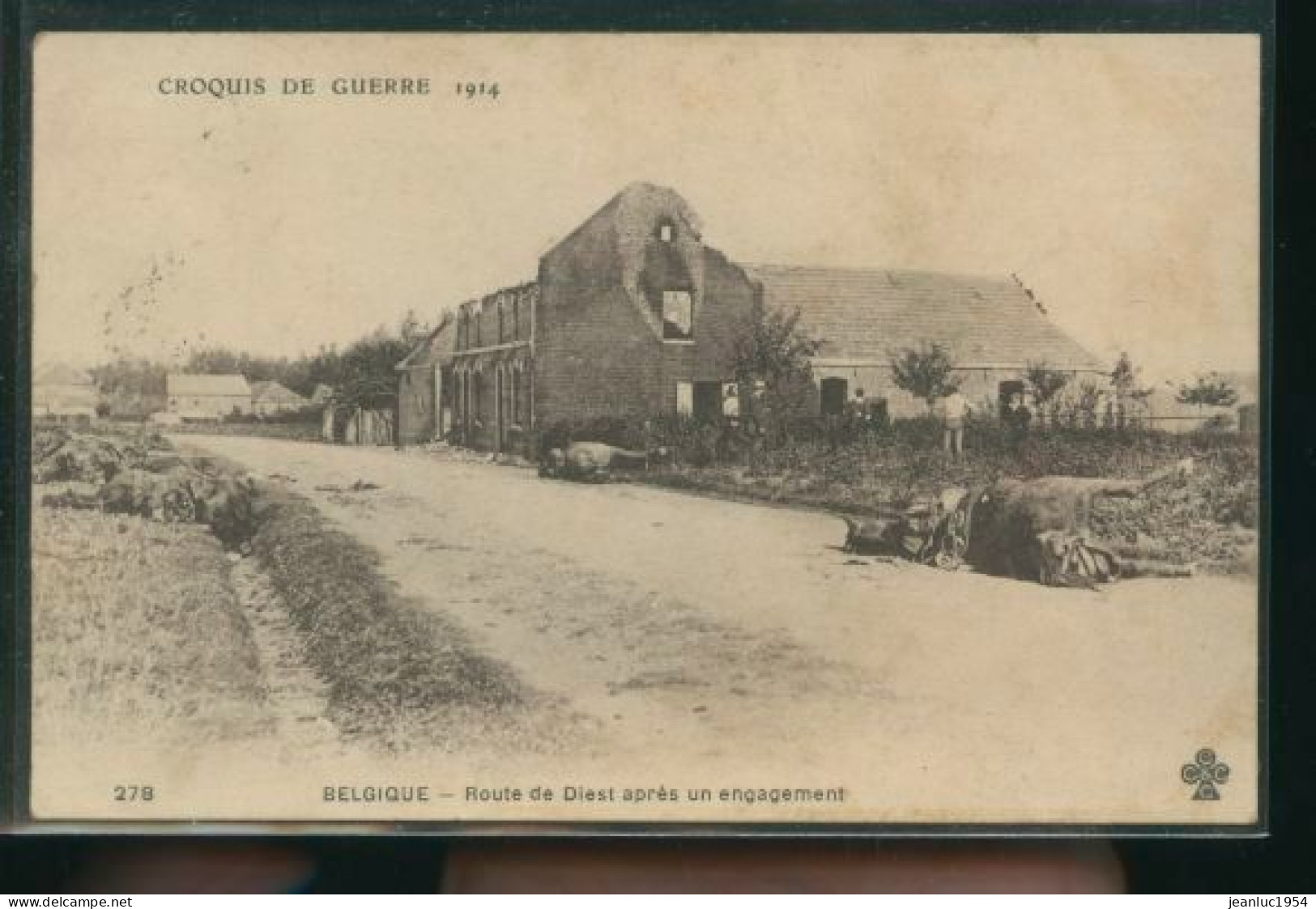 ROUTE DE DIEST CHEVEAUX MORTS  ( MES PHOTOS NE SONT PAS JAUNES ) - Sonstige & Ohne Zuordnung