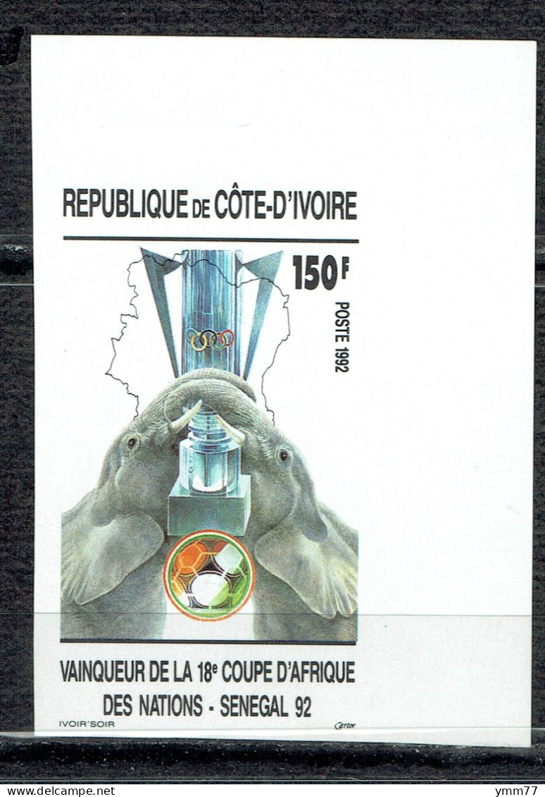 18ème Coupe D'Afrique Des Nations De Football "Sénégal 92" : Victoire De L'équipe Nationale - Ivoorkust (1960-...)