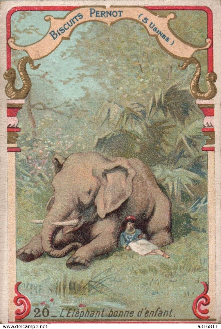 Chromo Pernot L éléphant Bonne D Enfant - Pernot