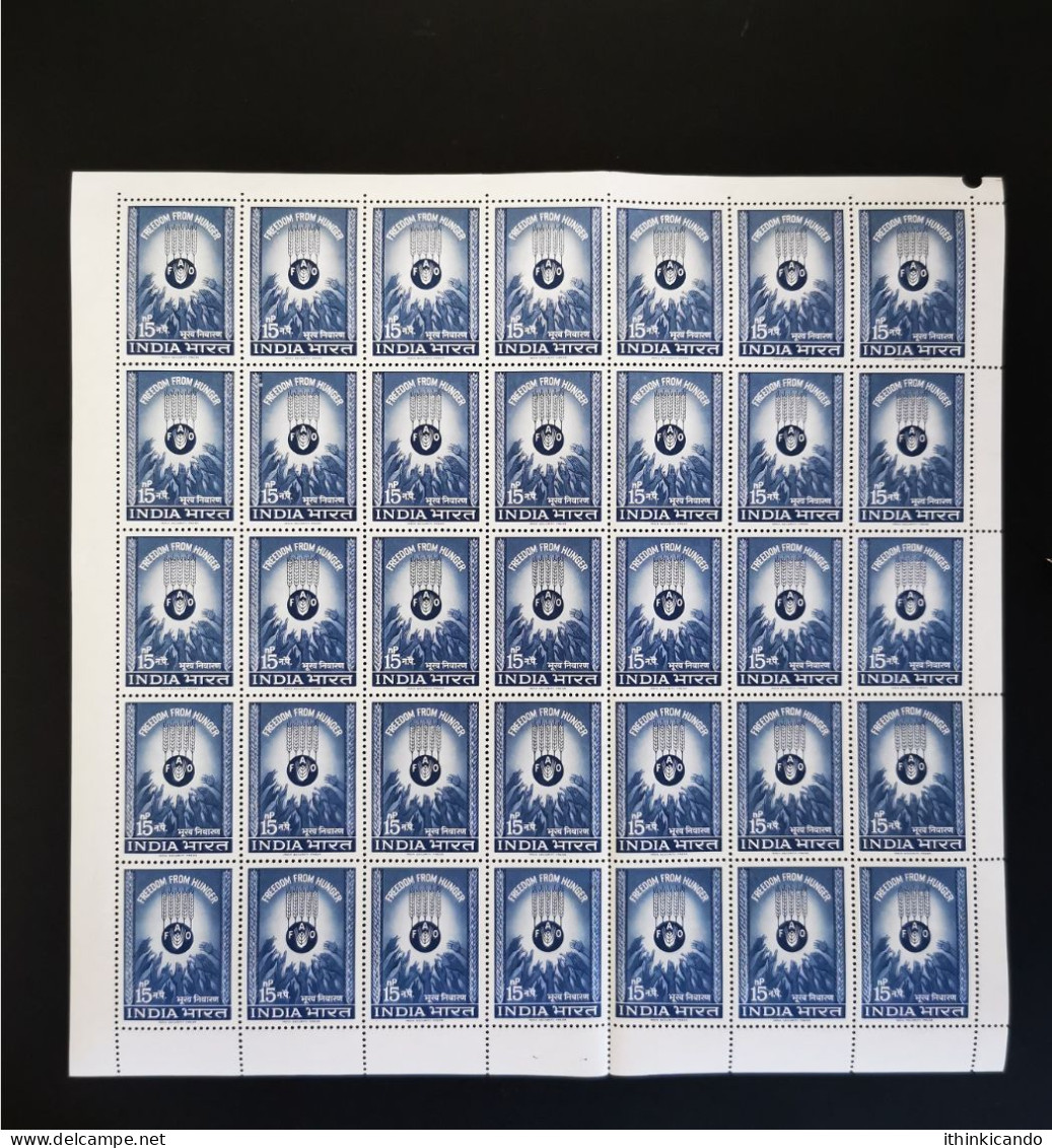 India 1963 Mi 352 FAO Full Sheet (35 Pieces) MNH Fold - Neufs