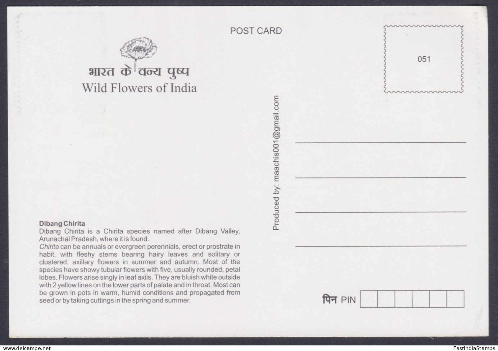 Inde India 2013 Maximum Max Card Dibang Chirita, Flower, Flowers, Flora - Cartas & Documentos