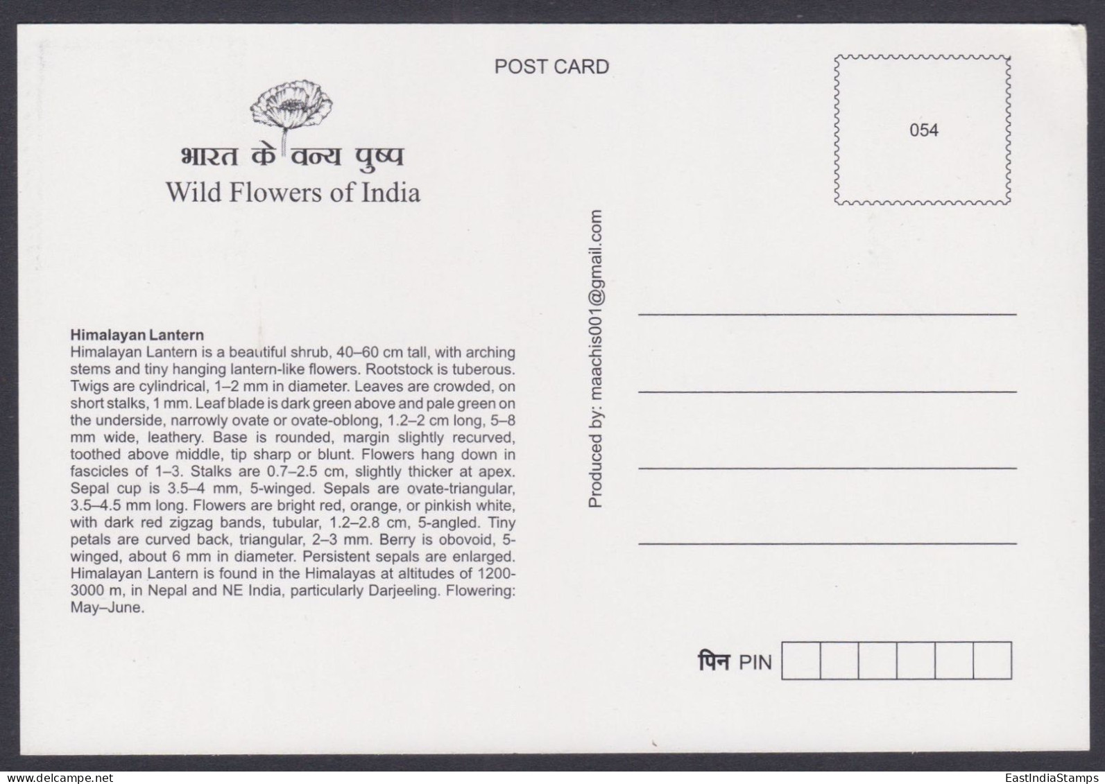 Inde India 2013 Maximum Max Card Himalayan Lantern, Flower, Flowers, Flora - Storia Postale