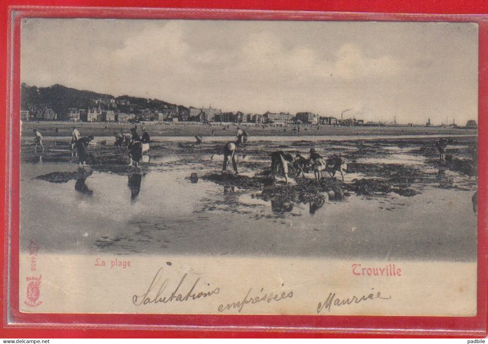 Carte Postale 14. Trouville  Pêche à Pieds Très Beau Plan - Trouville