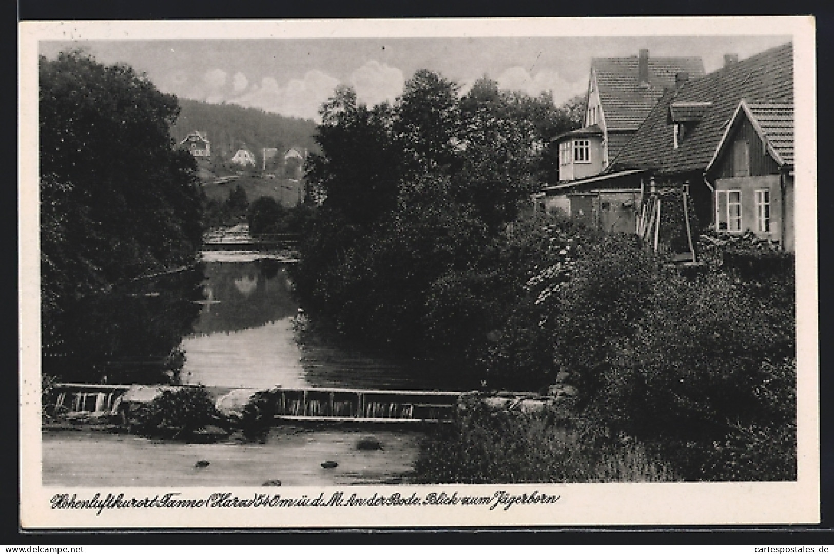 AK Tanne /Harz, An Der Bode, Blick Zum Jägerborn  - Autres & Non Classés