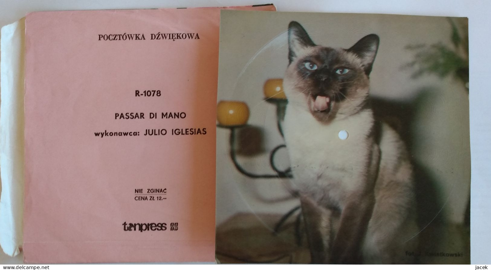 45 Rpm Polish Flexi Card Julii Iglesias Passat Di Mano - Special Formats