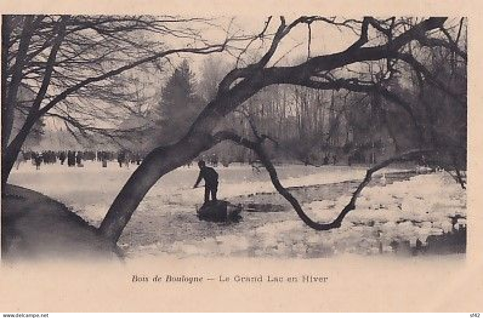 PARIS       BOIS DE BOULOGNE.  LE GRAND  LAC EN HIVER        PRECURSEUR - Parcs, Jardins