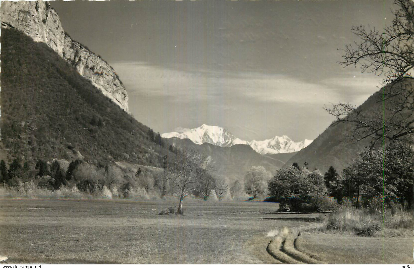 74 - FAVERGES - MONT BLANC - Faverges