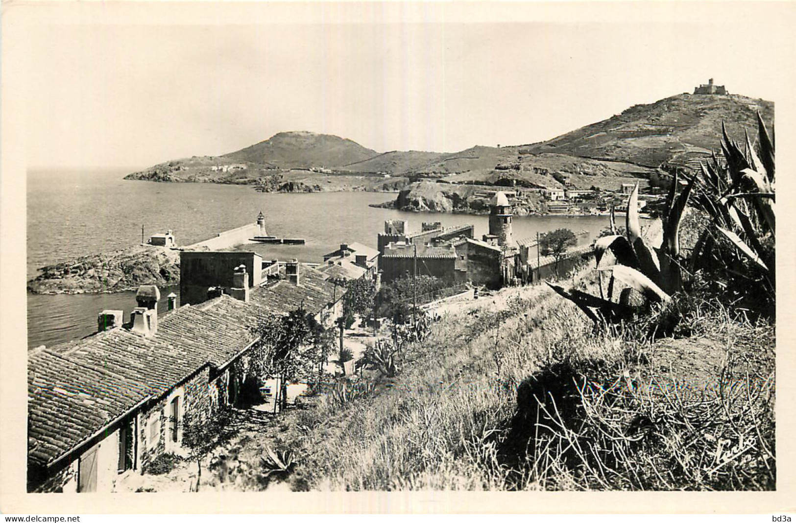 66 - COLLIOURE - ENTREE DU PORT - Collioure