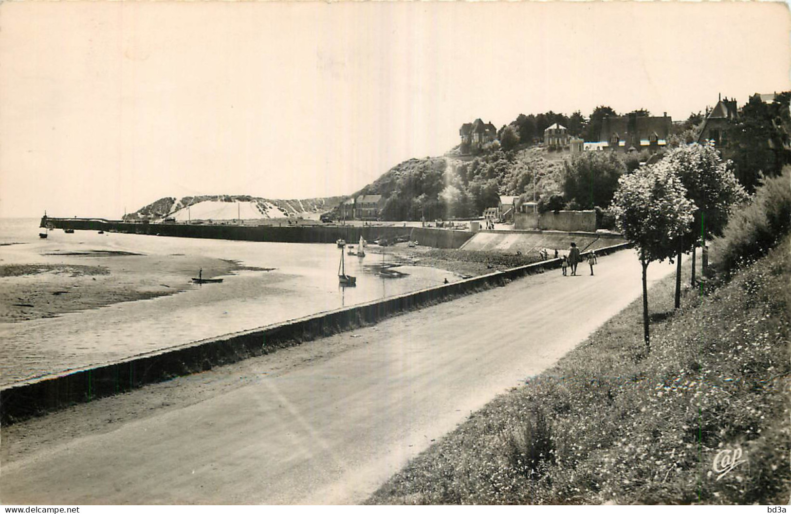 50 - CARTERET - LE PORT - Carteret