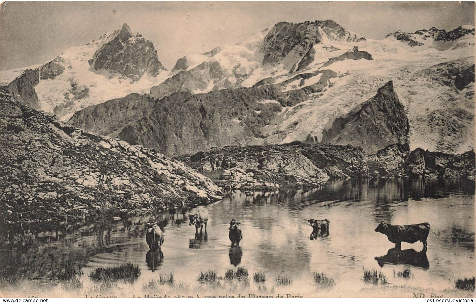 FRANCE - Le Meije - Vue Prise Du Plateau De Paris - Carte Postale Ancienne - Autres & Non Classés