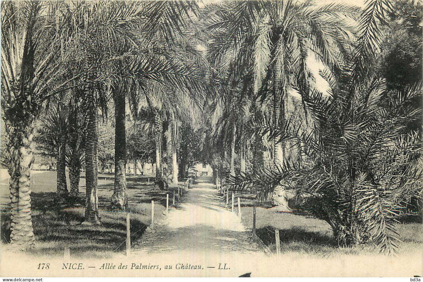 06 - NICE - ALLEE DES PALMIERS AU CHÂTEAU - Autres & Non Classés