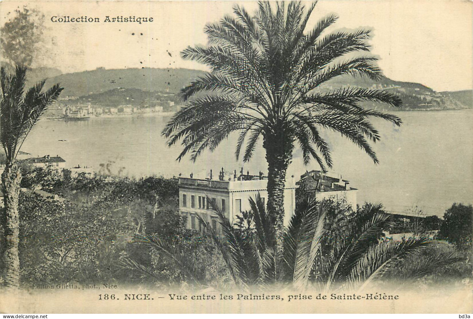 06 - NICE - VUE ENTRE LES PALMIERS - PRISE DE SAINTE HELENE - Altri & Non Classificati