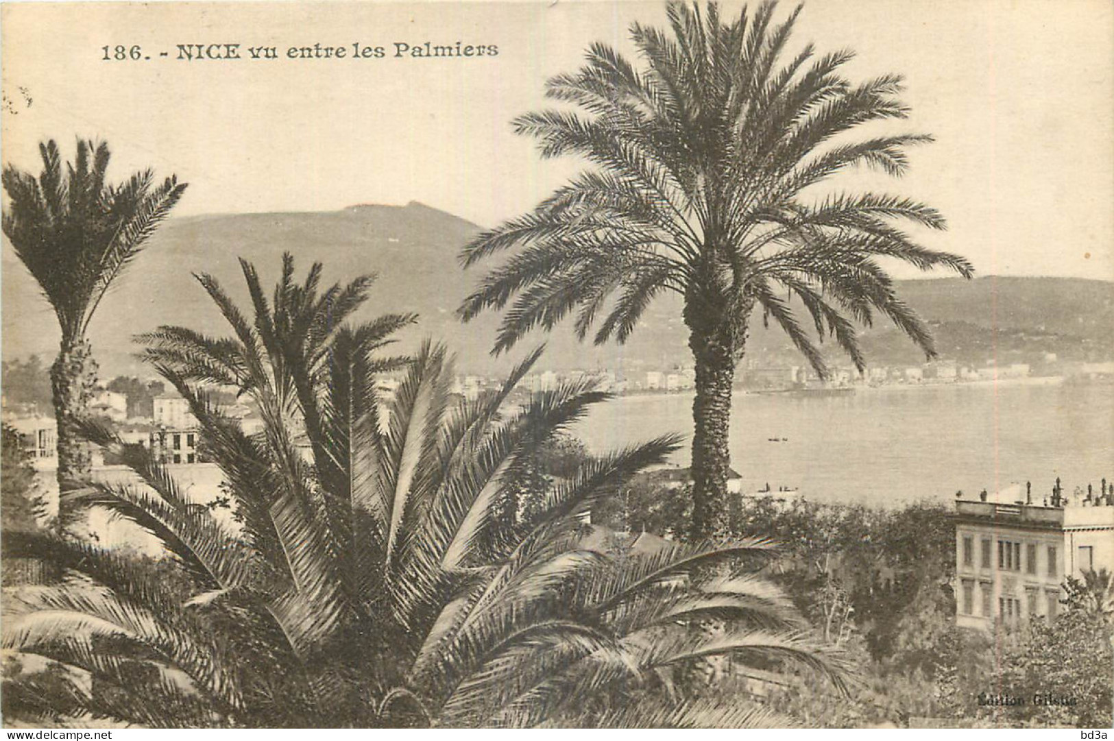 06 - NICE - VU ENTRE LES PALMIERS - Other & Unclassified