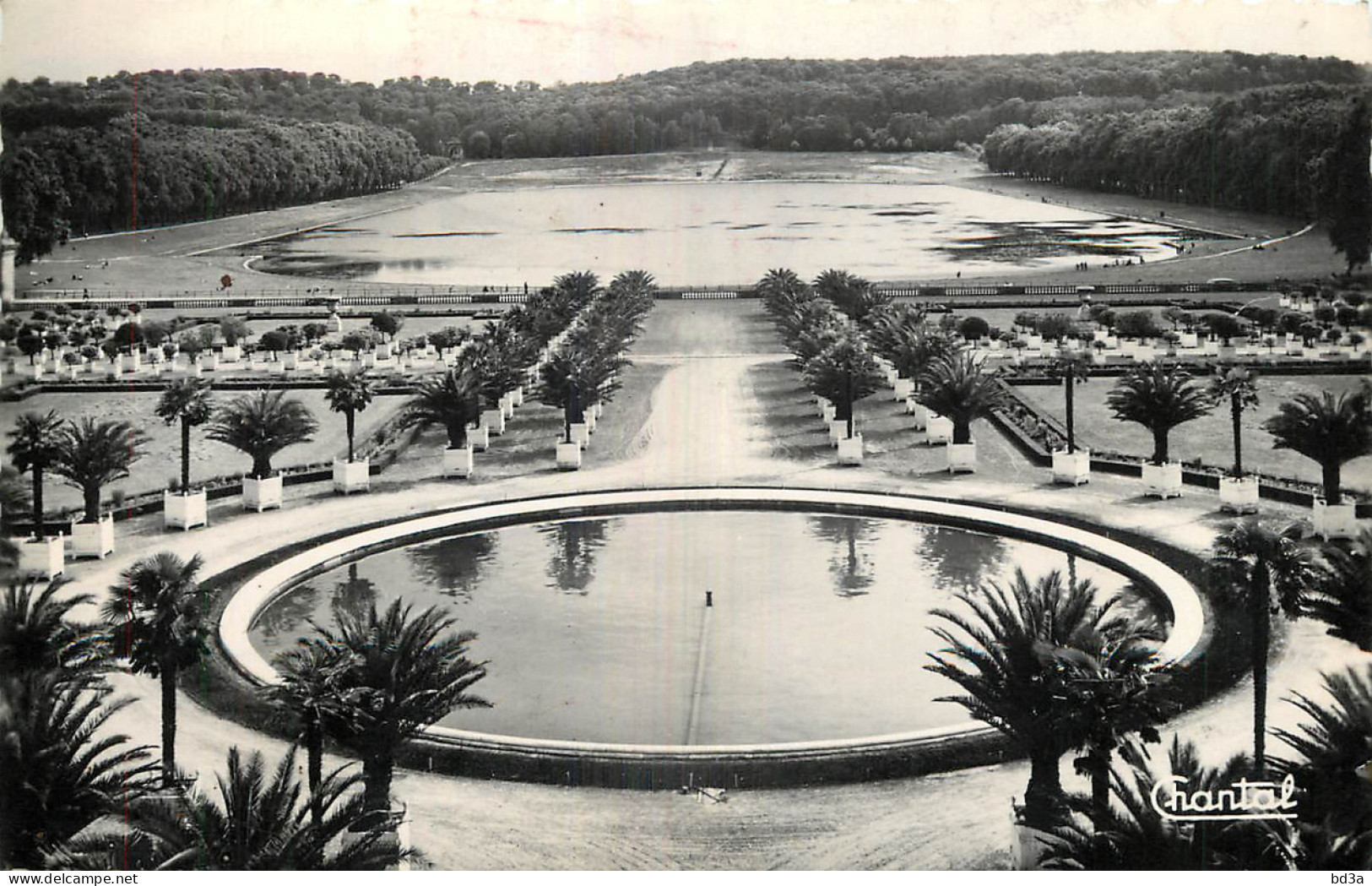 78 - VERSAILLES - L'ORANGERIE - Versailles (Schloß)