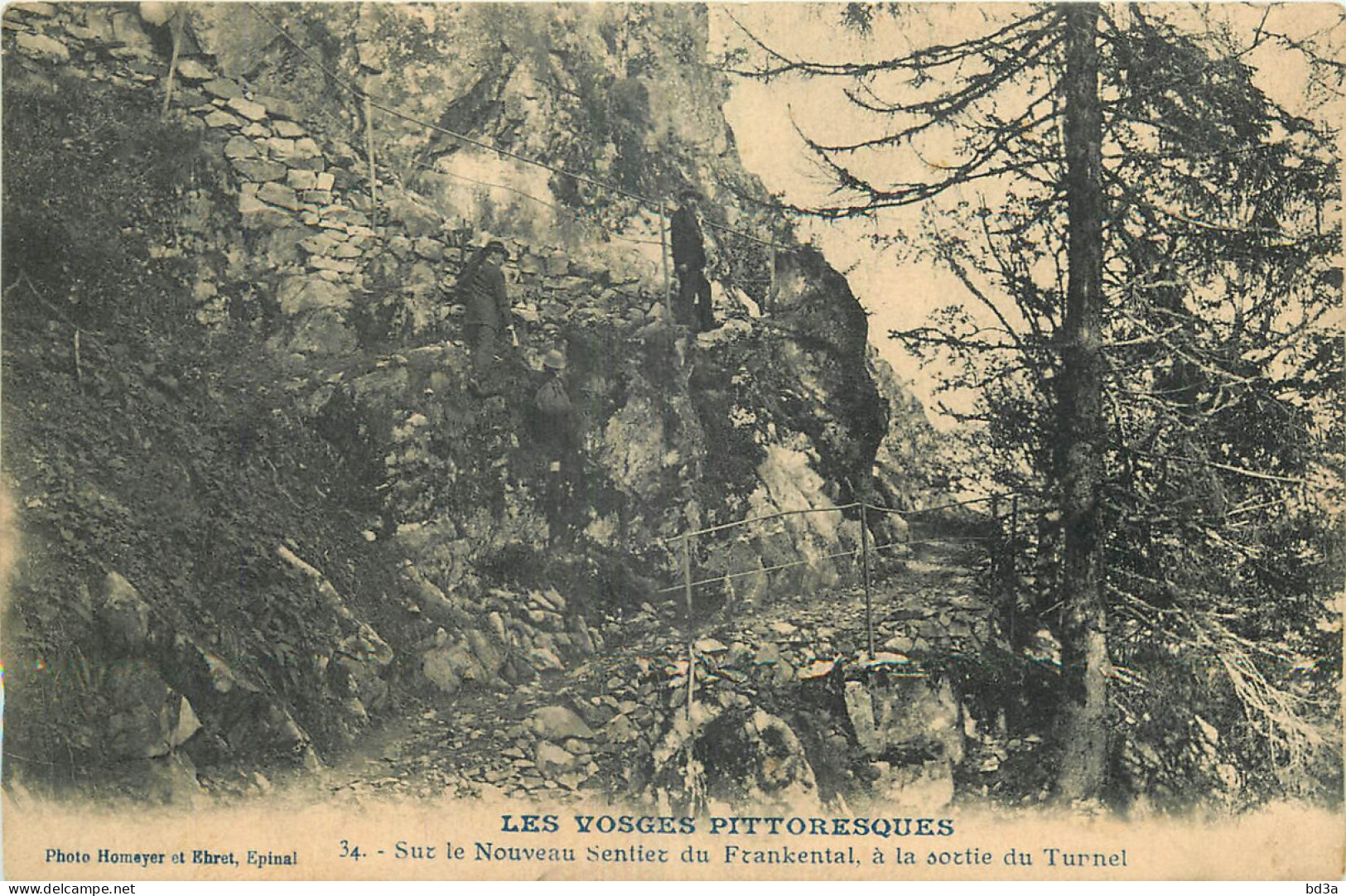 88 - LES VOSGES - SUR LE SENTIER DU FRANKENTAL - Other & Unclassified