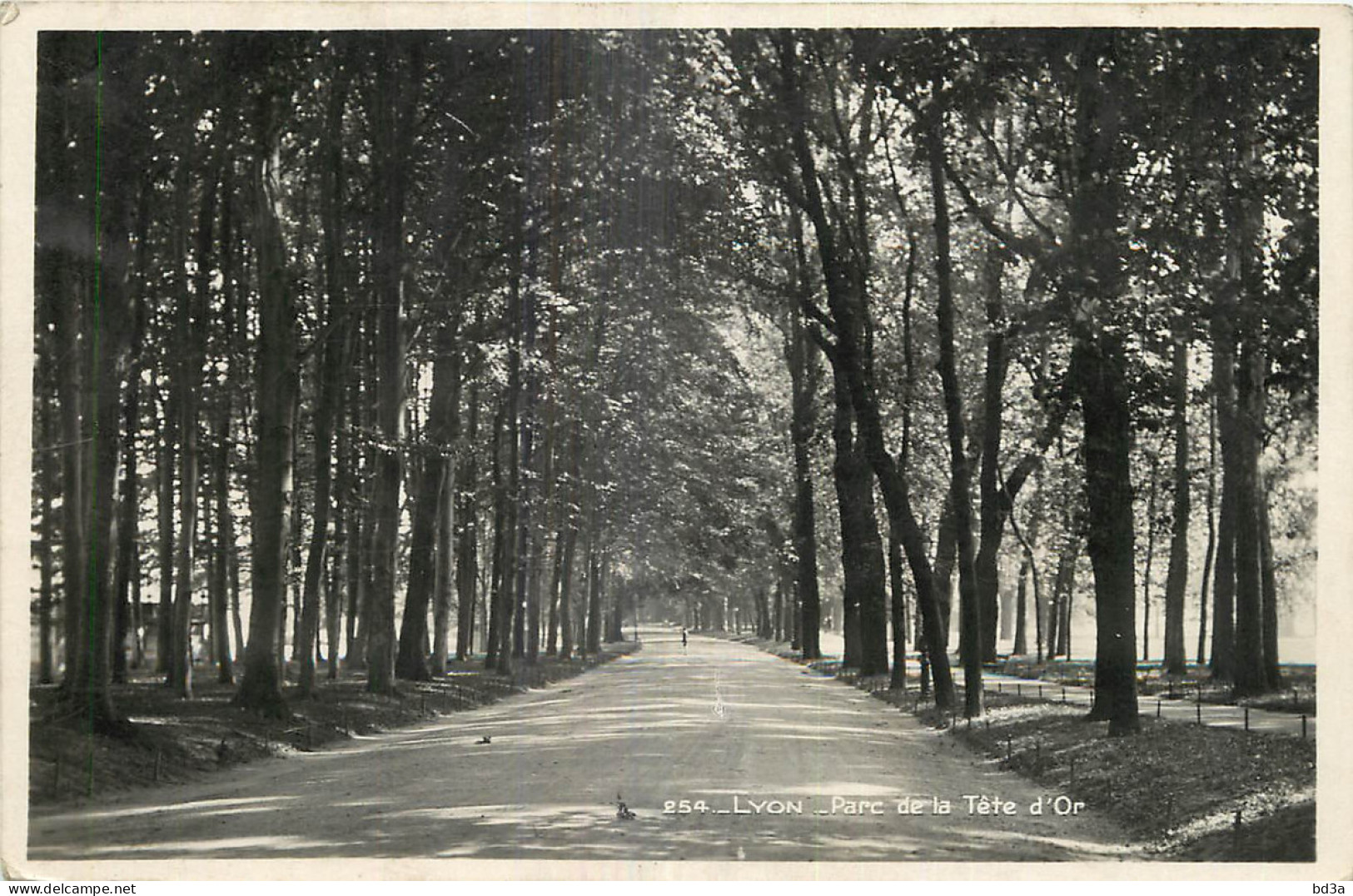 69 - LYON - PARC DE LA TETE D'OR - Andere & Zonder Classificatie