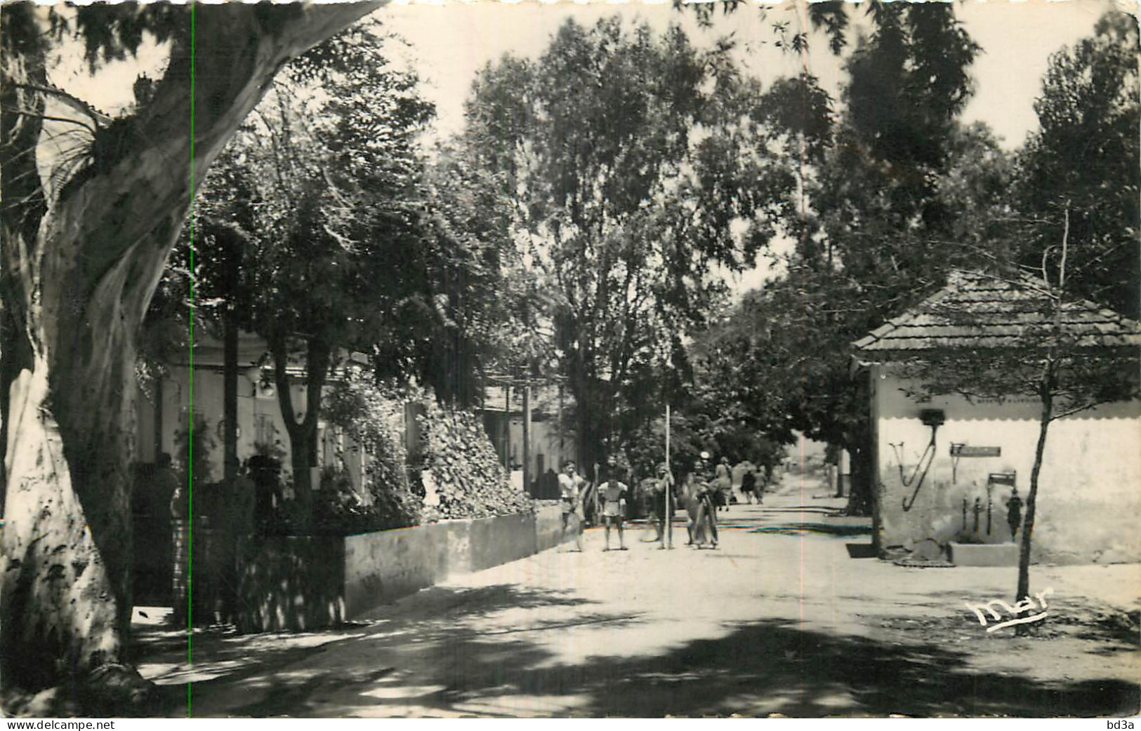 83 - PORQUEROLLES - RUE DE LA FERME - Porquerolles