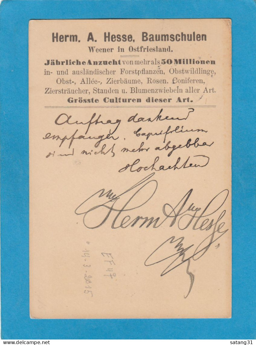 POSTKARTE AUS WEENER MIT PRIVATER NACHDRUCK "HERM. A. HESSE, BAUMSCHULEN" NACH AARHUS,DÄNEMARK,1894. - Lettres & Documents